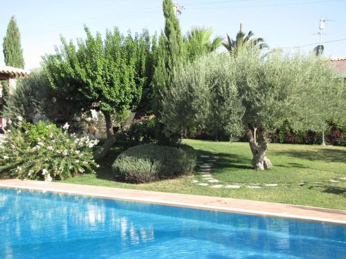 a swimming pool in a yard with olive trees at Agriturismo Il Granaio Hotel & SPA in Modica