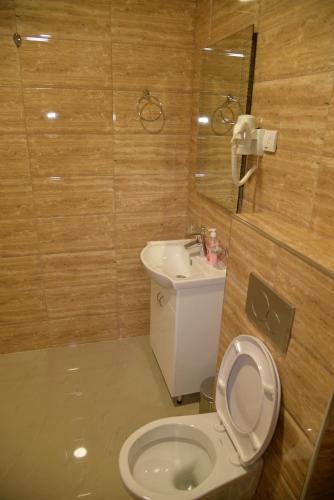 a bathroom with a toilet and a sink at B&B Hisar International in Prijepolje