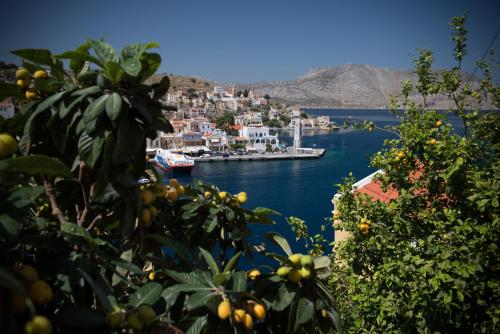 Imagen de la galería de Kaitoula Apartment Up, en Symi