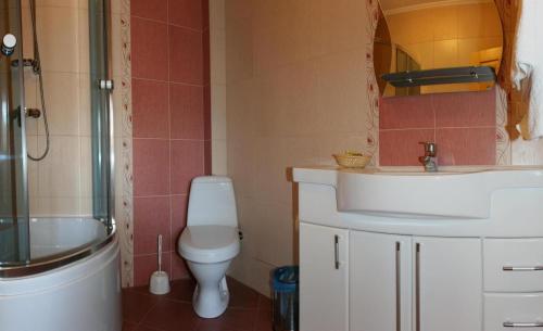a bathroom with a toilet and a sink and a shower at Complex Vivcharyk in Skole