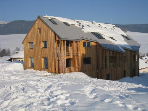a wooden house in the snow with snow at Apartmán u Kamila in Dolní Morava