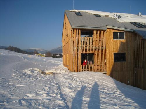 a wooden cabin in the snow with a person in the window at Apartmán u Kamila in Dolní Morava