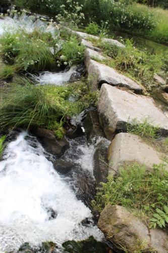 a stream of water with rocks and grass at Quinta do Rio Homem in Caldelas