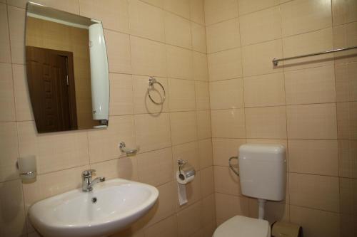 a bathroom with a sink and a toilet and a mirror at Perperеshka River Villas in Stremtsi