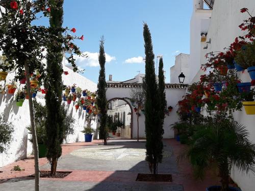 ANDALUCIA 57