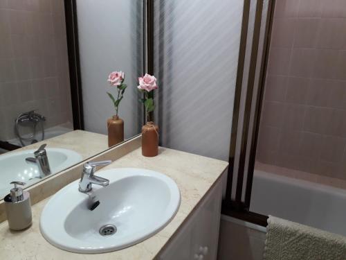 een badkamer met een wastafel, een spiegel en roze bloemen bij ANDALUCIA 57 in Estepona