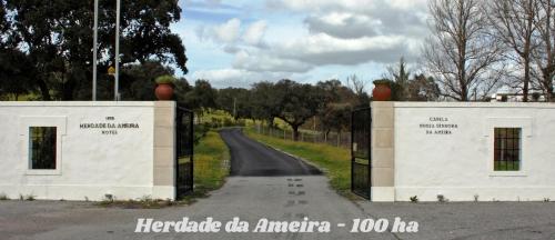 a road with a gate in the middle of a road at Hotel Rural da Ameira in Montemor-o-Novo