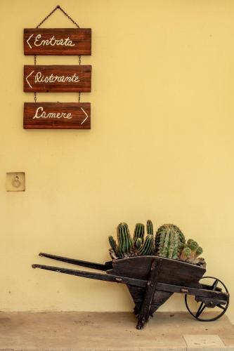 a wheelbarrow full of cactuses in front of a wall at Azienda Agrituristica Il Pago in Nova Siri Marina