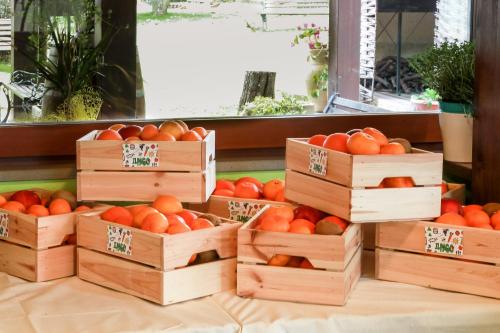 four wooden crates of oranges on display in a store at Azienda Agrituristica Il Pago in Nova Siri Marina
