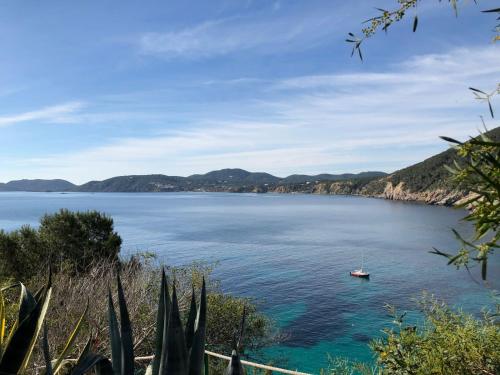 Shavasana Villa – Photos 3