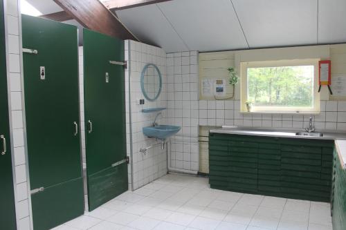 een badkamer met groene deuren, een wastafel en een spiegel bij Pipowagen in Tynaarlo