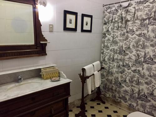 a bathroom with a sink and a shower curtain at Hotel Casa Silva in San Fernando