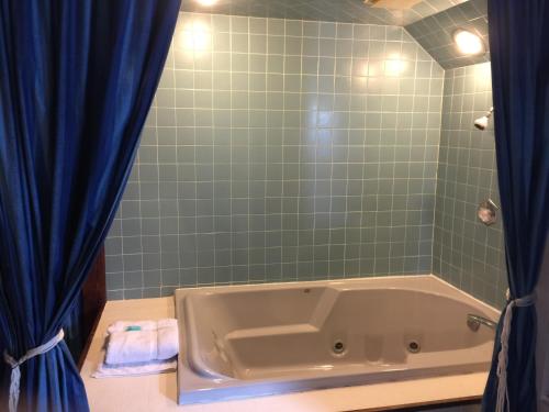 a bathroom with a tub and a blue shower curtain at Don Q Inn in Dodgeville