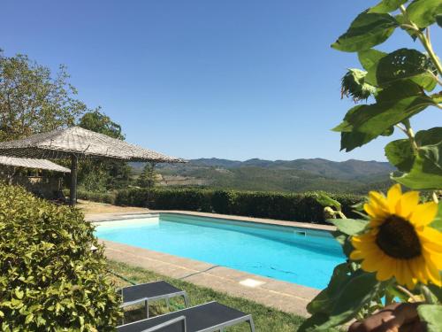 Πισίνα στο ή κοντά στο Celle di lecchi nel Chianti