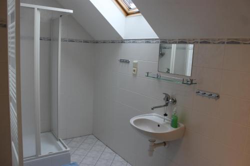 a bathroom with a sink and a mirror and a shower at Apartman Svoboda in Svoboda nad Úpou