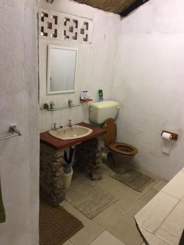 a bathroom with a sink and a toilet at Sundowner Lodge in Hwange