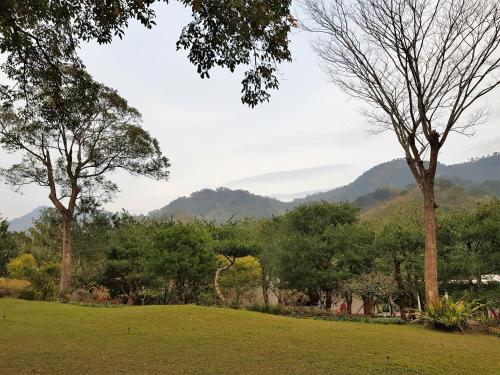 a green field with trees and mountains in the background at Around The Tree Manor in Shitan