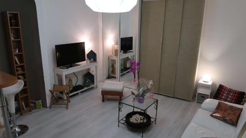 TV a/nebo společenská místnost v ubytování La Cour Victoria - Vosges Place & St Dizier St -27m2