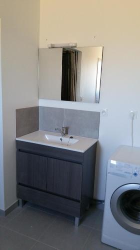 une salle de bain avec un lavabo et une machine à laver dans l'établissement Hendia, à Jonzac