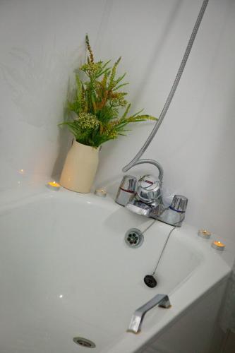 a white sink with a plant on top of it at Rowton Poplars Hotel in Chester