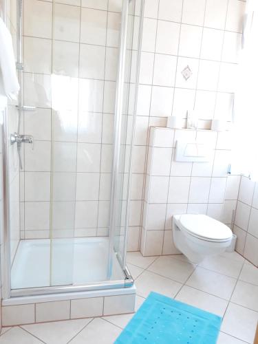a bathroom with a shower and a toilet at Gästehaus Klug in Sankt Stefan ob Stainz