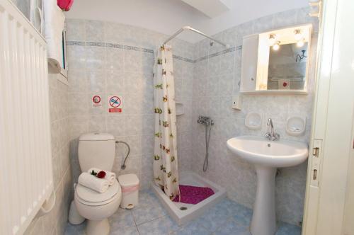 een kleine badkamer met een toilet en een wastafel bij Katerina Studios in Ayia Evfimia