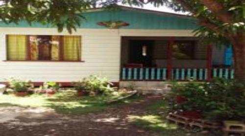 a house with a palm tree in front of it at Shades Cottage Guesthouse in Blue Hole
