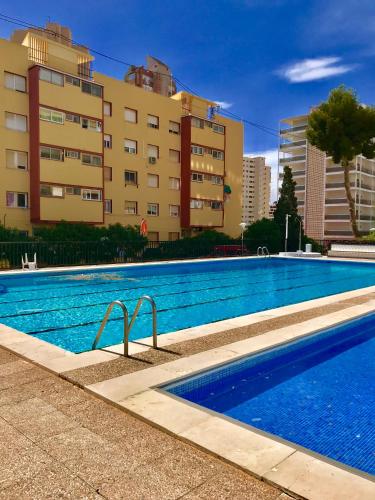 Piscis Of The Sea Benidorm