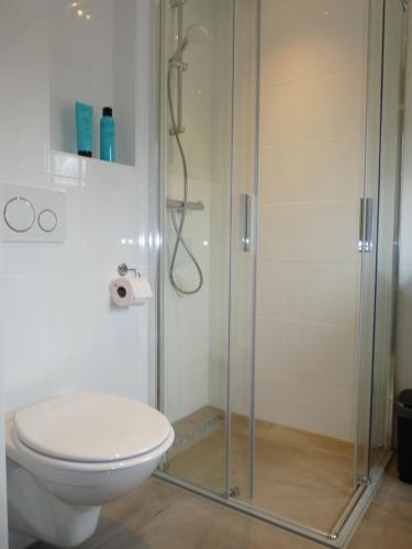 a bathroom with a toilet and a glass shower at Buitenhuis Egmond in Egmond aan den Hoef