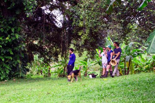 a group of people and a dog in the grass at El Caribeo in Bocas Town