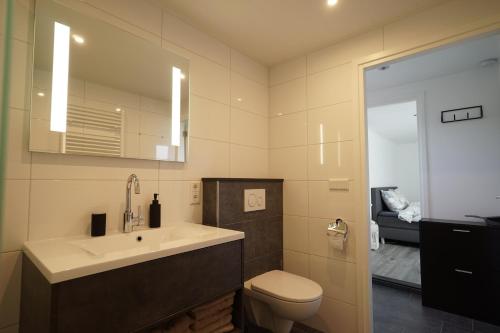 a bathroom with a sink and a toilet and a mirror at Het Pelgrimshoekje in Vrouwenpolder