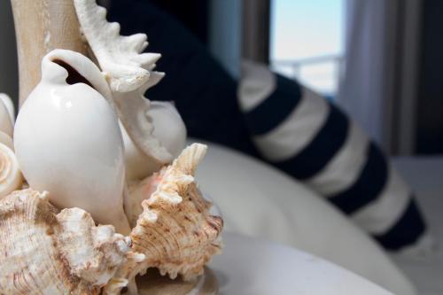 a shell sitting on top of a white plate at Hotel Nautilus in Cagliari
