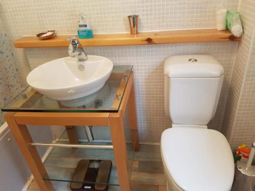 a bathroom with a sink and a toilet at Harbour View in Portree