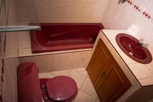 a bathroom with a red sink and a toilet at Hotel Residencial Tamia in Huaraz