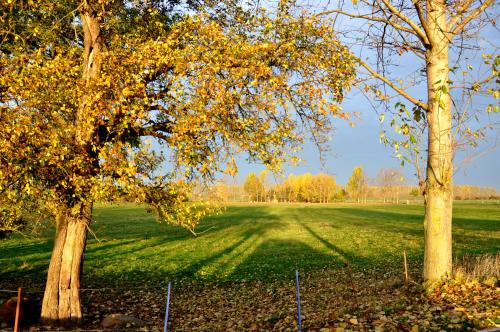 Taman di luar Apartment Battin 44 Uckermark