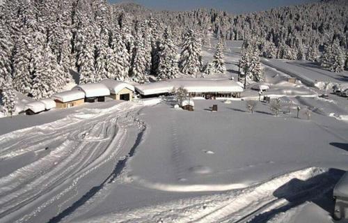 a snow covered mountain with a house and trees at Hotel Ligeri in Elati Trikalon