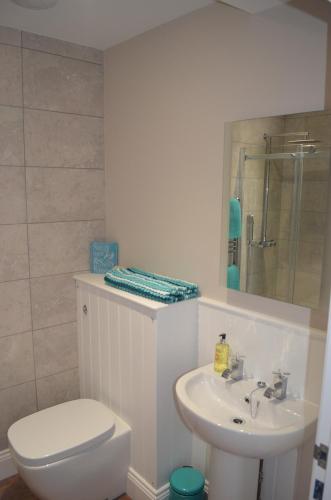 a bathroom with a white toilet and a sink at Appledore Factory in Appledore