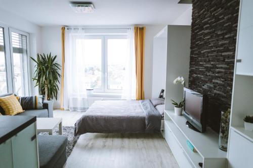1 dormitorio con cama, sofá y TV en Design apartment, the city centre close to the health spa, en Piešťany
