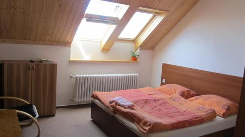 a bedroom with a bed and a skylight at Ubytování u Macochy in Vilémovice