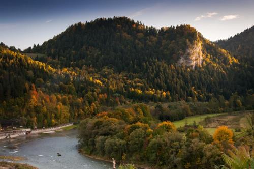 a river in the middle of a mountain at Porębówka in Szczawnica