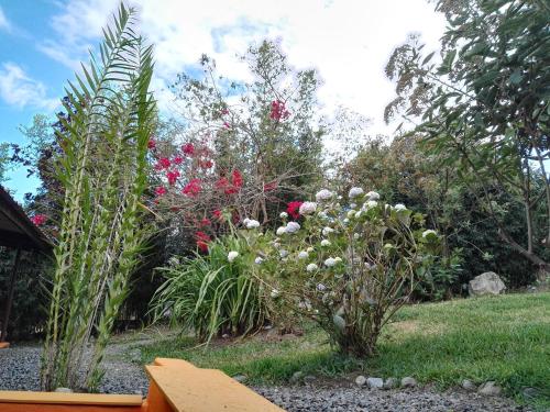 Ein Garten an der Unterkunft Agaseke Lodge Boquete