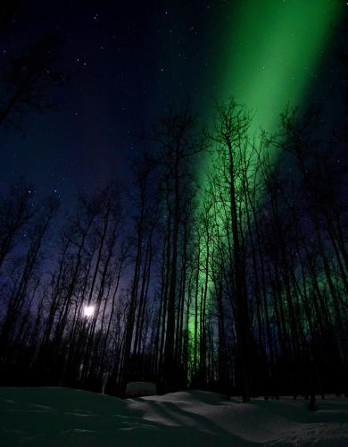 Gambar di galeri bagi Wildmoon Home di Fairbanks