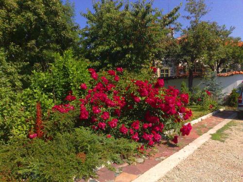 Gallery image of Family Hotel Sonata in Samokov