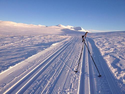 a person cross country skiing across a snow covered field at Putten Seter in Høvringen