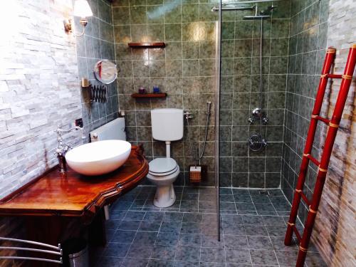 a bathroom with a shower and a toilet and a sink at Swanlake Rooms in Nebbiuno