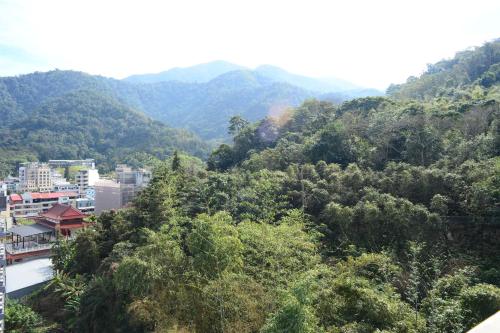 a view of a mountain with trees and a city at Yi Da Lakeside Hotel in Yuchi