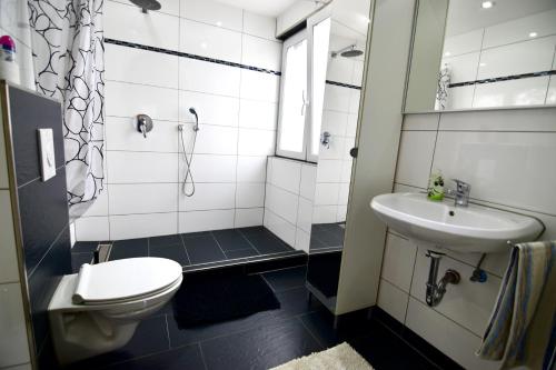 a bathroom with a toilet and a sink at Work & Stay Ferienhaus Niederkassel in Rheidt