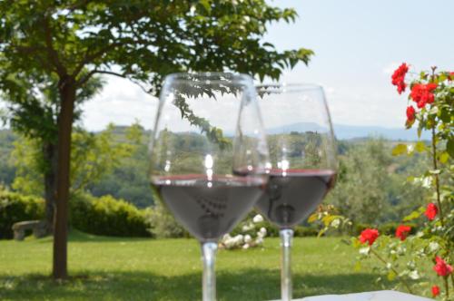 two glasses of wine sitting on a table at Podere Villabassa in Montespertoli