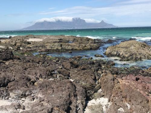 a view of the ocean with mountains in the background at Atlantic Haven in Bloubergstrand