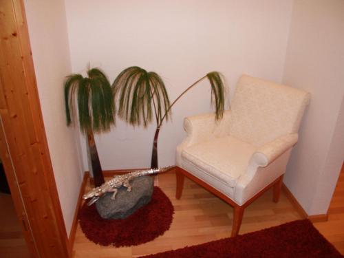 a living room with a chair and two plants at Ferienwohnung Christa in Sankt Märgen